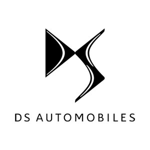 دی اس