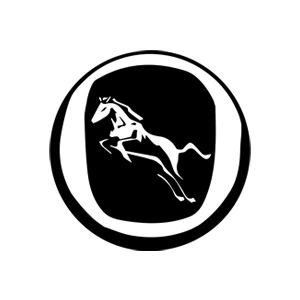 هن تنگ